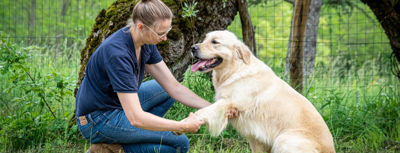Intimate masterclass by Cosmoprof presenta: Osteopatia per i pet: cura naturale, risultati reali. Il benessere al servizio degli animali