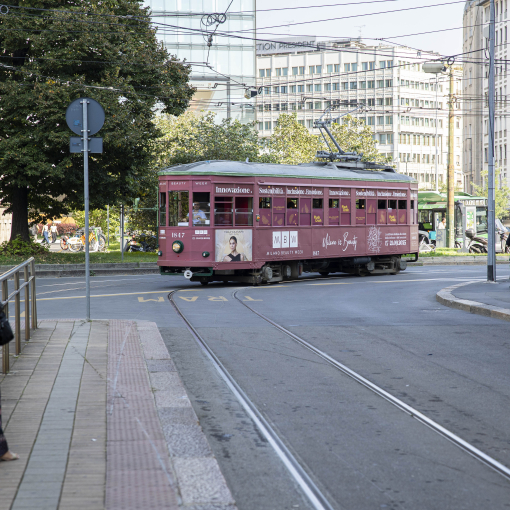 Beauty Tram